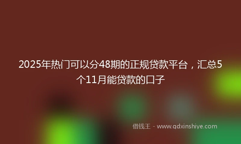 2025年热门可以分48期的正规贷款平台，汇总5个11月能贷款的口子