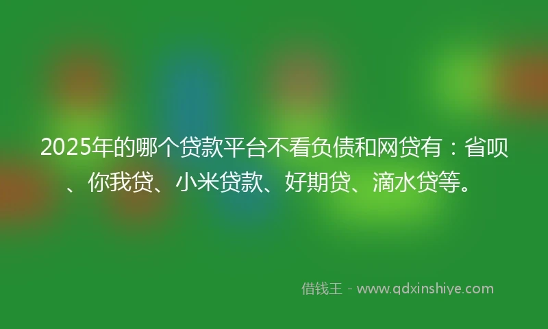 2025年的哪个贷款平台不看负债和网贷有：省呗、你我贷、小米贷款、好期贷、滴水贷等。