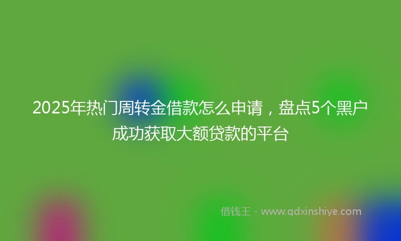 2025年热门周转金借款怎么申请，盘点5个黑户成功获取大额贷款的平台