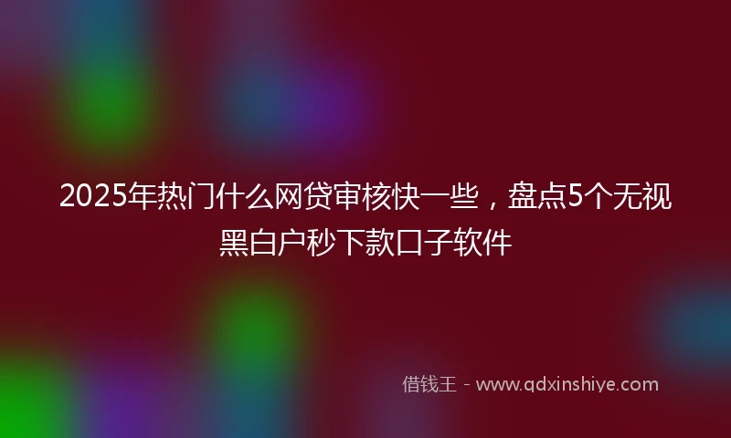 2025年热门什么网贷审核快一些，盘点5个无视黑白户秒下款口子软件
