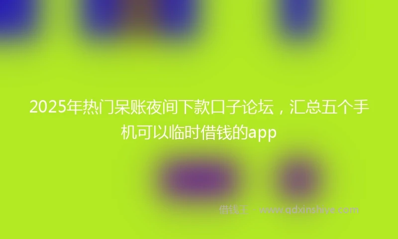 2025年热门呆账夜间下款口子论坛，汇总五个手机可以临时借钱的app