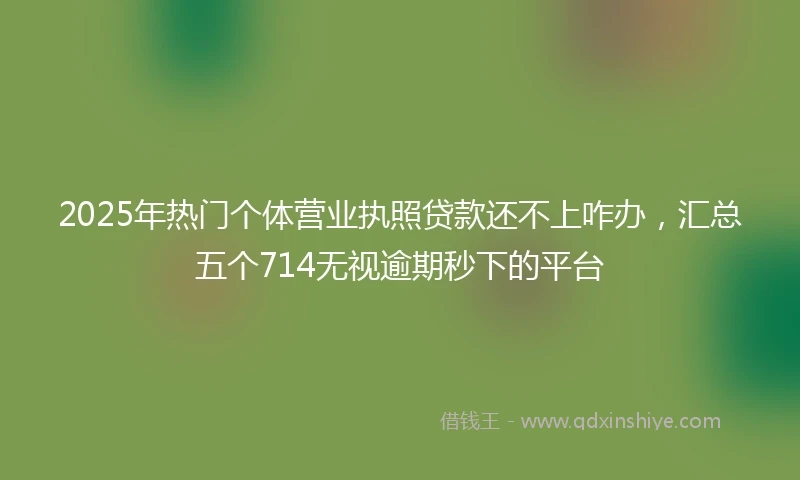 2025年热门个体营业执照贷款还不上咋办，汇总五个714无视逾期秒下的平台