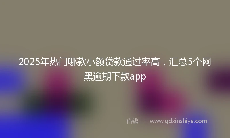 2025年热门哪款小额贷款通过率高，汇总5个网黑逾期下款app