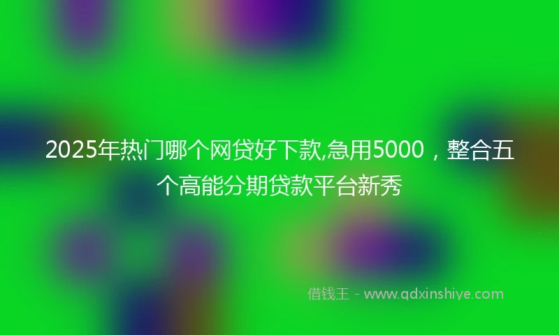 2025年热门哪个网贷好下款,急用5000,整合五个高能分期贷款平台新秀