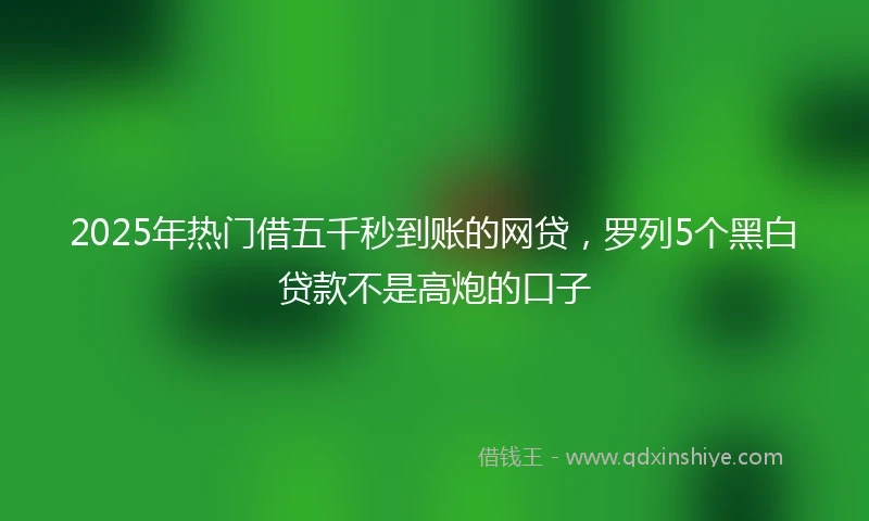 2025年热门借五千秒到账的网贷,罗列5个黑白贷款不是高炮的口子