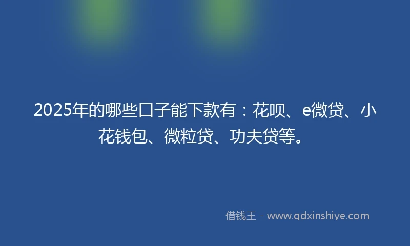 2025年的哪些口子能下款有：花呗、e微贷、小花钱包、微粒贷、功夫贷等。