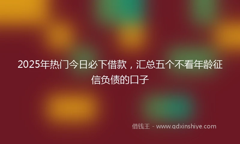 2025年热门今日必下借款，汇总五个不看年龄征信负债的口子