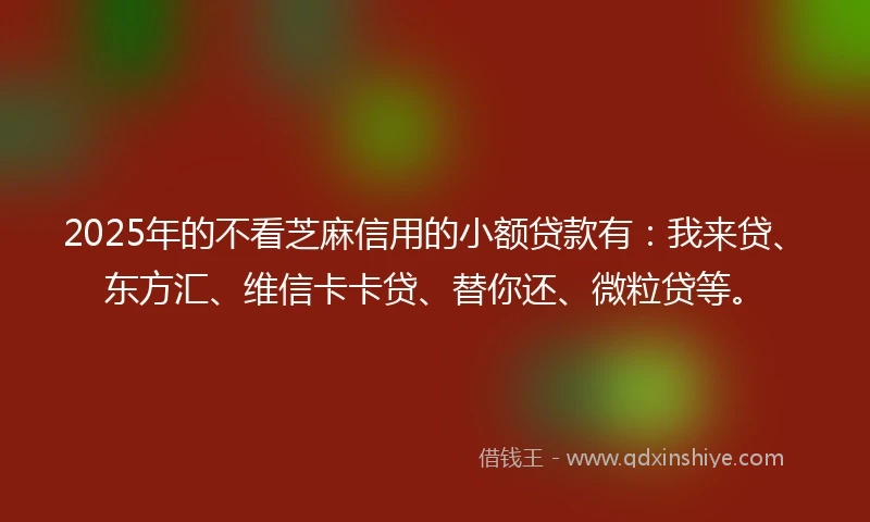 2025年的不看芝麻信用的小额贷款有:我来贷、东方汇、维信卡卡贷、替你还、微粒贷等。