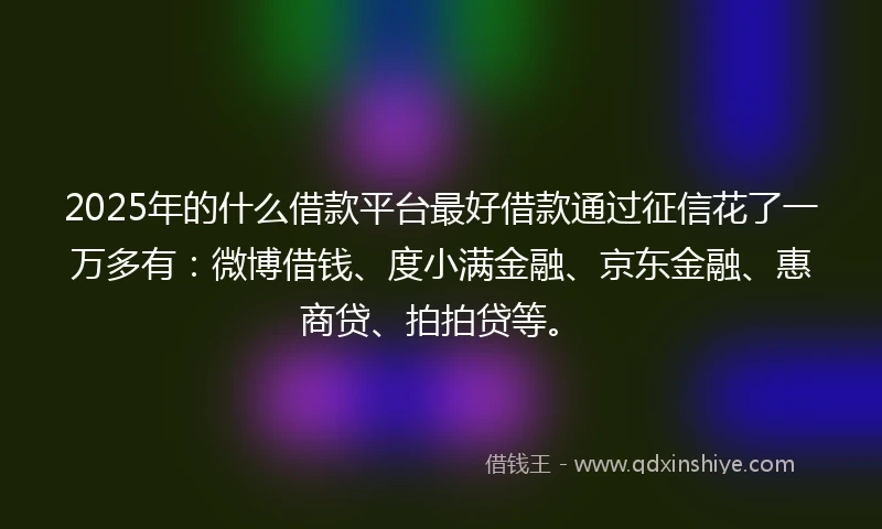 2025年的什么借款平台最好借款通过征信花了一万多有：微博借钱、度小满金融、京东金融、惠商贷、拍拍贷等。