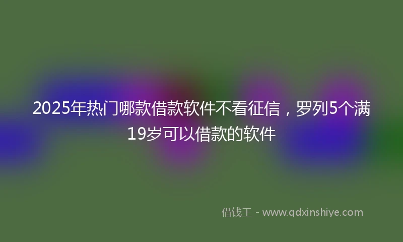 2025年热门哪款借款软件不看征信，罗列5个满19岁可以借款的软件
