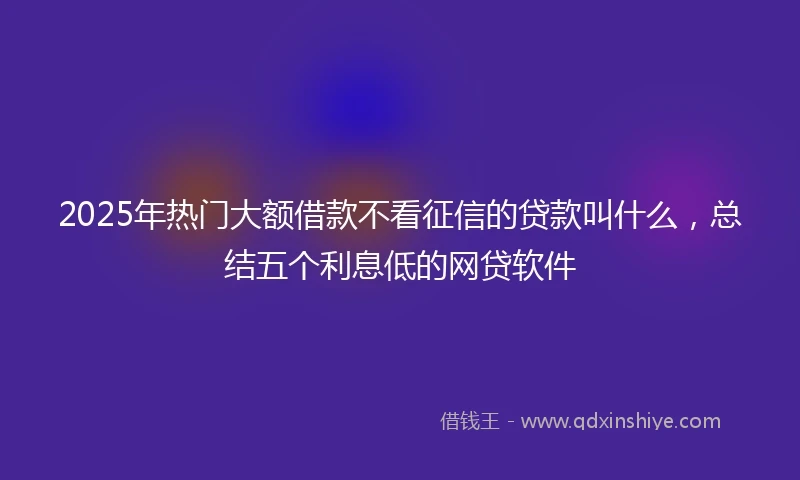 2025年热门大额借款不看征信的贷款叫什么，总结五个利息低的网贷软件