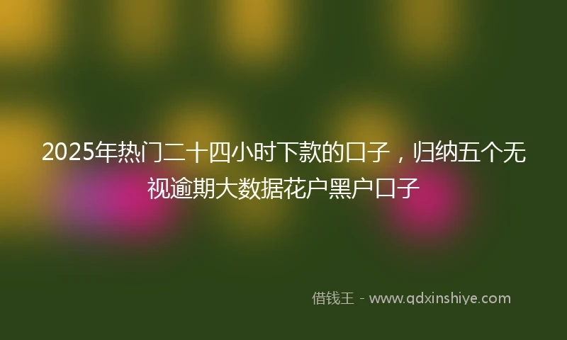 2025年热门二十四小时下款的口子，归纳五个无视逾期大数据花户黑户口子