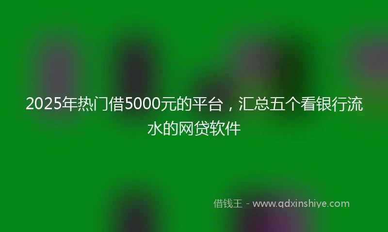 2025年热门借5000元的平台,汇总五个看银行流水的网贷软件