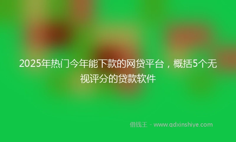 2025年热门今年能下款的网贷平台，概括5个无视评分的贷款软件