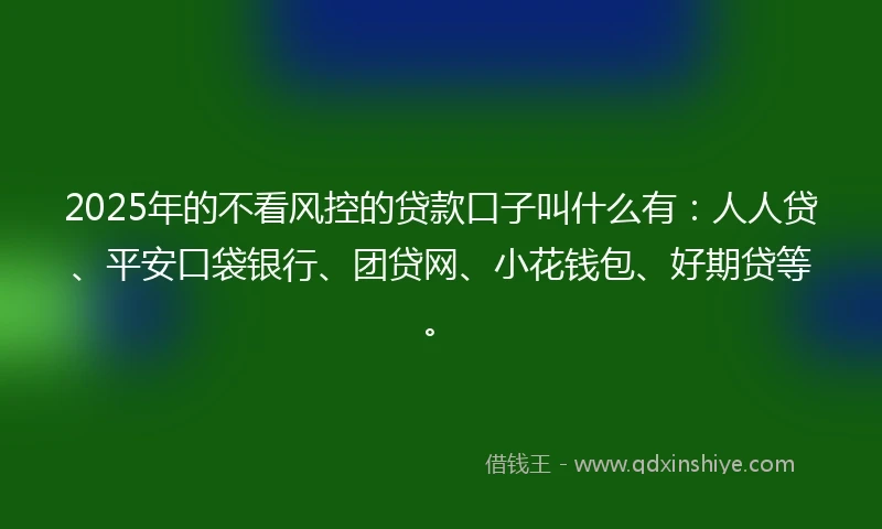 2025年的不看风控的贷款口子叫什么有：人人贷、平安口袋银行、团贷网、小花钱包、好期贷等。