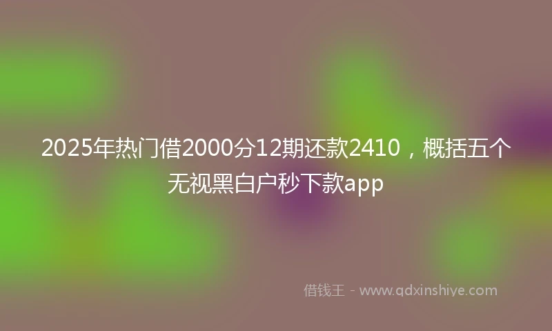 2025年热门借2000分12期还款2410，概括五个无视黑白户秒下款app