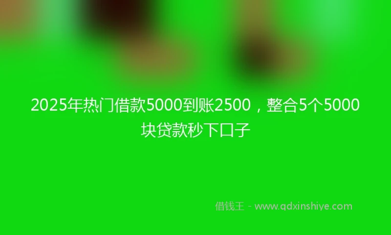 2025年热门借款5000到账2500，整合5个5000块贷款秒下口子