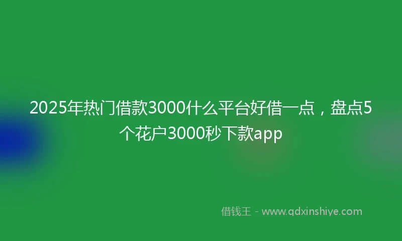 2025年热门借款3000什么平台好借一点，盘点5个花户3000秒下款app