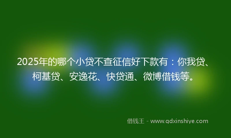 2025年的哪个小贷不查征信好下款有：你我贷、柯基贷、安逸花、快贷通、微博借钱等。