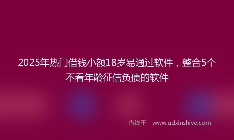 2025年热门借钱小额18岁易通过软件，整合5个不看年龄征信负债的软件