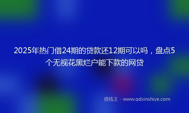 2025年热门借24期的贷款还12期可以吗,盘点5个无视花黑烂户能下款的网贷