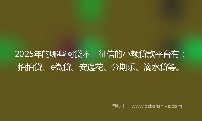 2025年的哪些网贷不上征信的小额贷款平台有：拍拍贷、e微贷、安逸花、分期乐、滴水贷等。