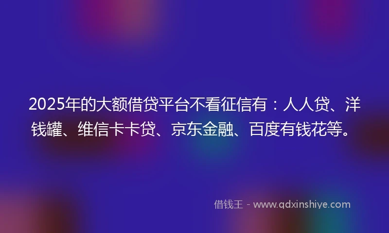 2025年的大额借贷平台不看征信有：人人贷、洋钱罐、维信卡卡贷、京东金融、百度有钱花等。