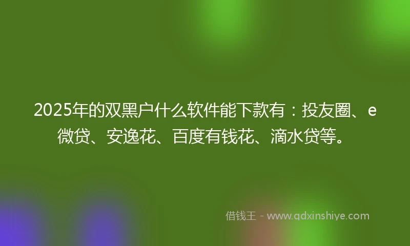 2025年的双黑户什么软件能下款有：投友圈、e微贷、安逸花、百度有钱花、滴水贷等。
