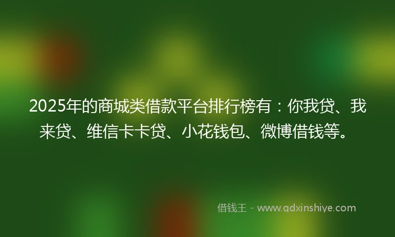 2025年的商城类借款平台排行榜有：你我贷、我来贷、维信卡卡贷、小花钱包、微博借钱等。