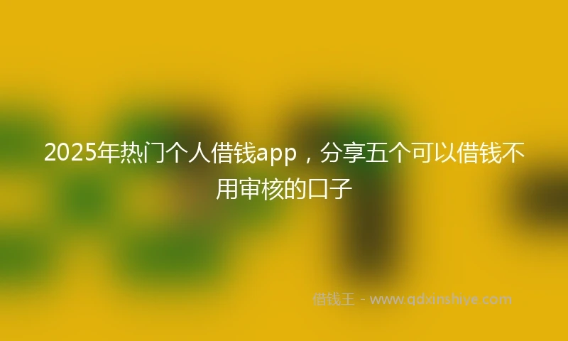 2025年热门个人借钱app,分享五个可以借钱不用审核的口子