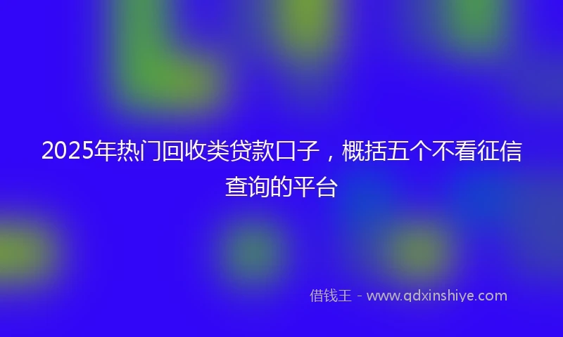 2025年热门回收类贷款口子，概括五个不看征信查询的平台