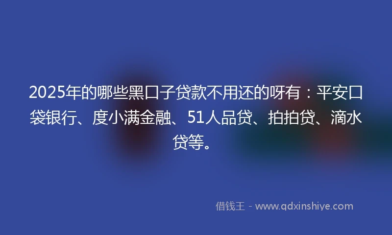 2025年的哪些黑口子贷款不用还的呀有：平安口袋银行、度小满金融、51人品贷、拍拍贷、滴水贷等。