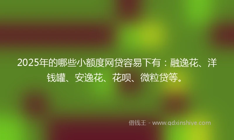 2025年的哪些小额度网贷容易下有：融逸花、洋钱罐、安逸花、花呗、微粒贷等。