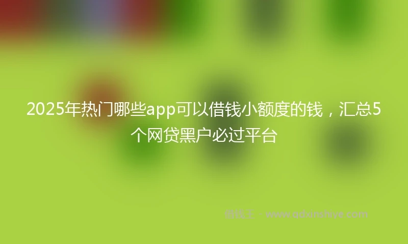 2025年热门哪些app可以借钱小额度的钱，汇总5个网贷黑户必过平台