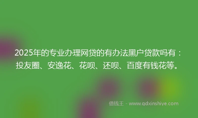 2025年的专业办理网贷的有办法黑户贷款吗有：投友圈、安逸花、花呗、还呗、百度有钱花等。