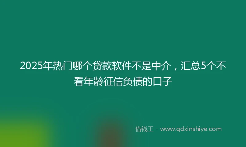 2025年热门哪个贷款软件不是中介，汇总5个不看年龄征信负债的口子