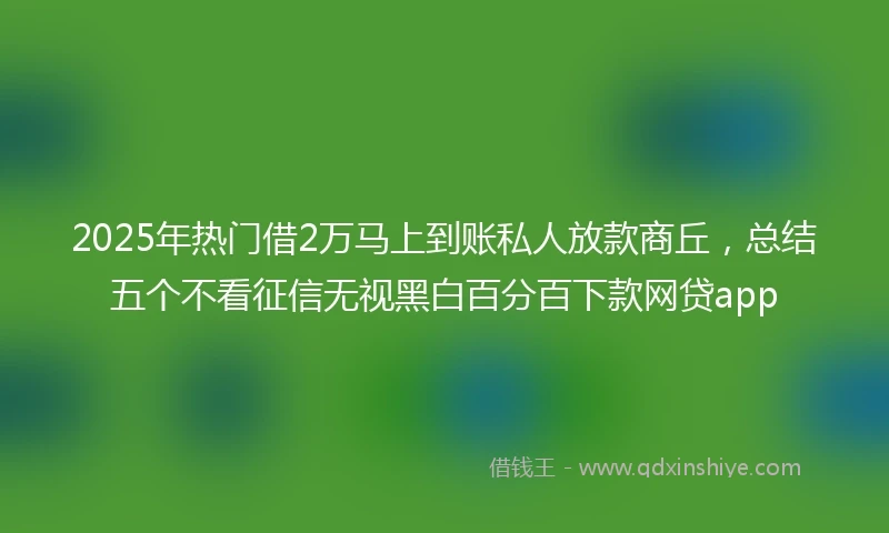 2025年热门借2万马上到账私人放款商丘，总结五个不看征信无视黑白百分百下款网贷app