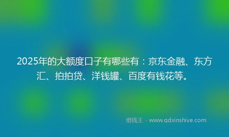 2025年的大额度口子有哪些有：京东金融、东方汇、拍拍贷、洋钱罐、百度有钱花等。