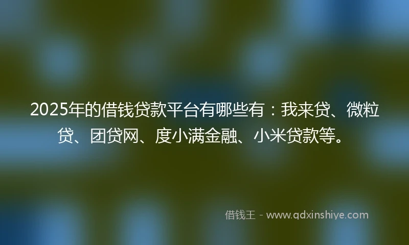 2025年的借钱贷款平台有哪些有：我来贷、微粒贷、团贷网、度小满金融、小米贷款等。
