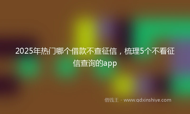 2025年热门哪个借款不查征信，梳理5个不看征信查询的app