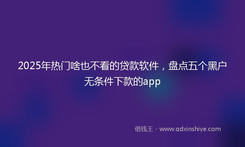 2025年热门啥也不看的贷款软件，盘点五个黑户无条件下款的app