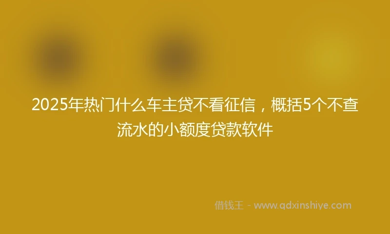 2025年热门什么车主贷不看征信,概括5个不查流水的小额度贷款软件