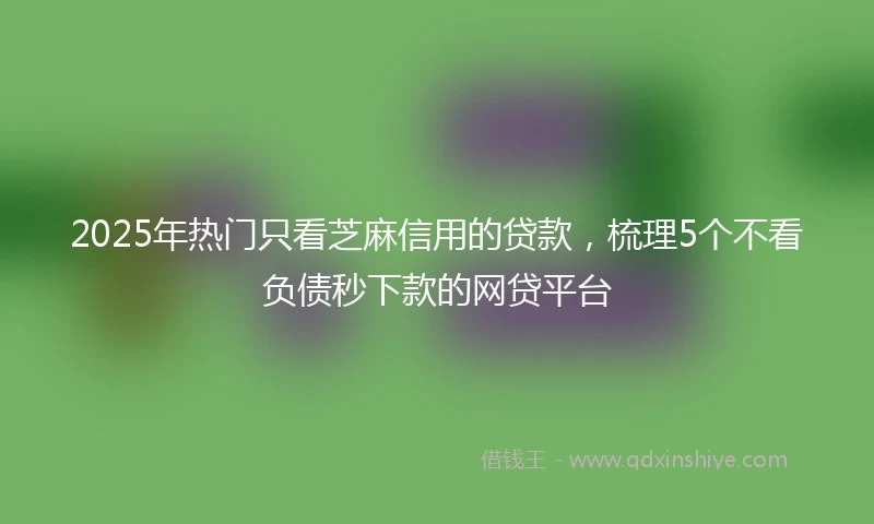 2025年热门只看芝麻信用的贷款，梳理5个不看负债秒下款的网贷平台