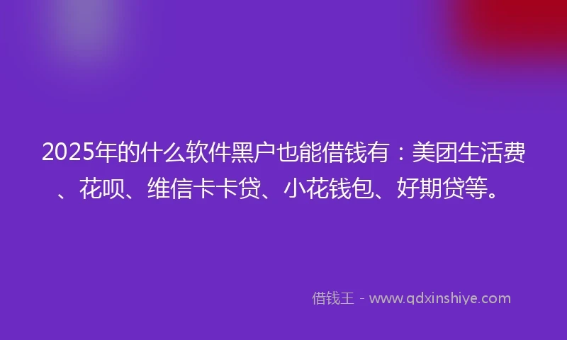 2025年的什么软件黑户也能借钱有：美团生活费、花呗、维信卡卡贷、小花钱包、好期贷等。