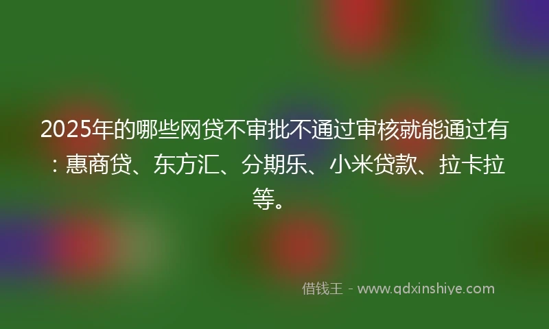 2025年的哪些网贷不审批不通过审核就能通过有：惠商贷、东方汇、分期乐、小米贷款、拉卡拉等。