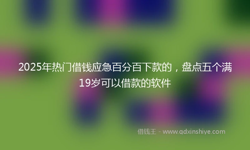 2025年热门借钱应急百分百下款的，盘点五个满19岁可以借款的软件