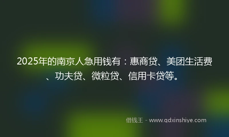 2025年的南京人急用钱有：惠商贷、美团生活费、功夫贷、微粒贷、信用卡贷等。