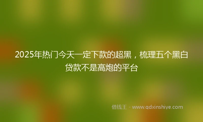2025年热门今天一定下款的超黑，梳理五个黑白贷款不是高炮的平台