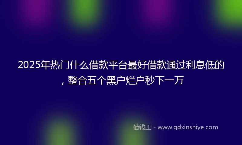2025年热门什么借款平台最好借款通过利息低的，整合五个黑户烂户秒下一万