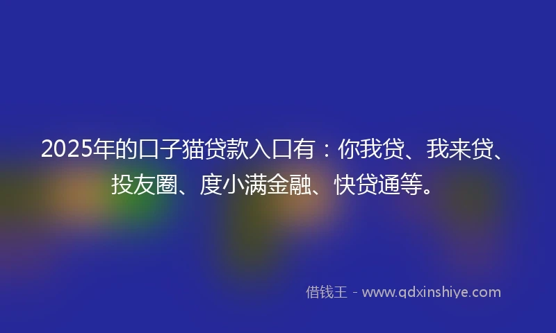 2025年的口子猫贷款入口有:你我贷、我来贷、投友圈、度小满金融、快贷通等。